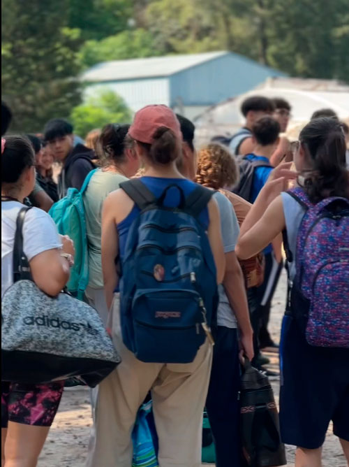 Proyección académica